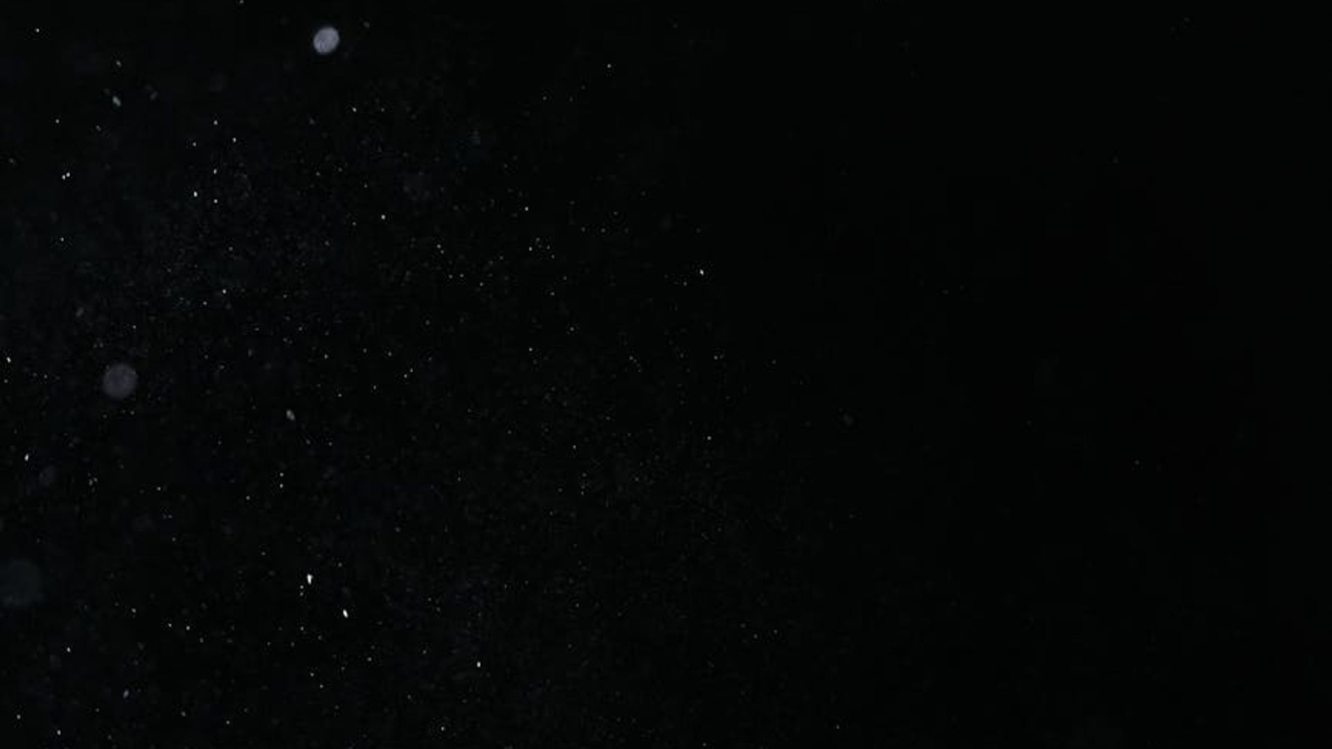 Serene background with a soft focus on a tranquil space.